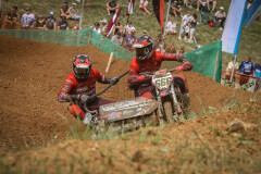 IMG 1842